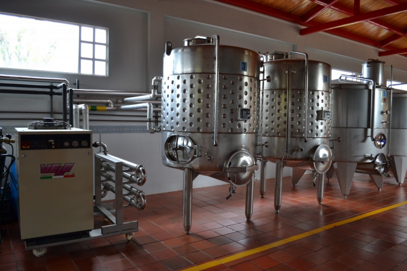 cave-CHATEAUVERT-min_wine_production_cantine_winery_drink_alcohol_vine_beverage-902036